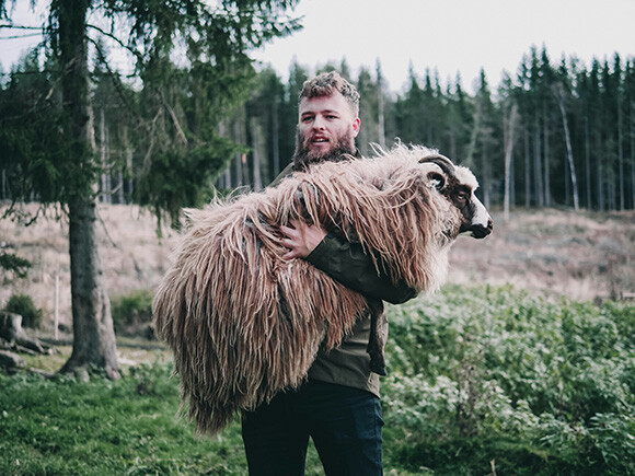 Le berger a le souci de chaque animal © Foyn/Unsplash